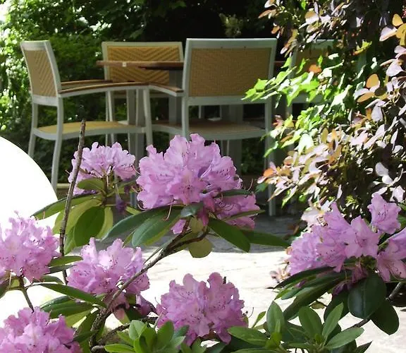 Kolb Hotel Zeil am Main