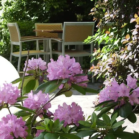 Kolb Hotel Zeil am Main